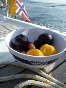 P1060007 – Kopi (2) – Kopi